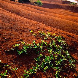 滑跪改价成功！《明末：渊虚之羽》国区重回最低价